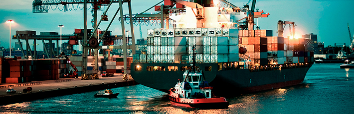 Header image of Maritime sector